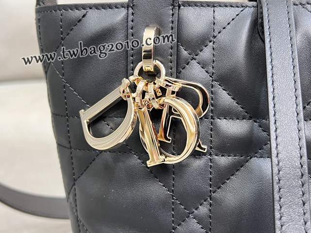 Dior专柜2025新款迪奥高仿原单Toujours竖版手袋牛皮休闲手提女包 djfk1297